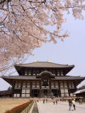 Cherry Blossoms, the Great Buddha Hall, Todaiji Temple, Nara, Honshu Island, Japan Photographic Print by Christian Kober