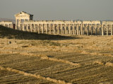 Archaelogical Site, Apamea (Qalat at Al-Mudiq), Syria, Middle East Photographic Print by Christian Kober