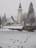 Ducks on Frozen Lake, Lake Bohinj, Slovenia Photographic Print by Christian Kober