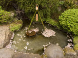 Cherry Blossom Petals in Water Fountain, Kamakura City, Kanagawa Prefecture, Honshu Island, Japan Photographic Print by Christian Kober