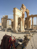 Tourist Camel Ride, Monumental Arch, Archaelogical Ruins, UNESCO World Heritage Site, Syria Photographic Print by Christian Kober