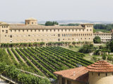 Vineyard and Monastery, Olite, Navarra, Euskadi, Spain Photographic Print by Christian Kober