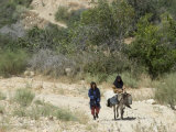 Local Women on Donkey, Dana Nature (Wildlife) Reserve, Jordan, Middle East Photographic Print by Christian Kober Local Women on Donkey, Dana Nature (Wildlife) Reserve, Jordan, Middle East Photographic Print by Christian Kober