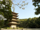 Spring Cherry Blossom, Kyoto City, Honshu Island, Japan Photographic Print by Christian Kober