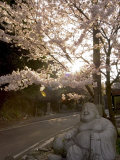 Buddha Statue, Ishiteji Temple, Ehime Prefecture, Japan Photographic Print by Christian Kober