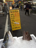 Fish Restaurant, Shinjuku, Tokyo, Honshu, Japan Photographic Print by Christian Kober