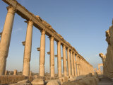Colonnaded Street, Archaelogical Ruins, Palmyra, Unesco World Heritage Site, Syria, Middle East Photographic Print by Christian Kober