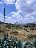 Island of Sicily, Italy, Mediterranean Photographic Print by Oliviero Olivieri