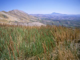 Patinico Landscape, Island of Sicily, Italy, Mediterranean Photographic Print by Oliviero Olivieri