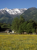 Landscape of Snow Capped Peaks Above Flower Covered Valley, Salzburgland, Austria Photographic Print by Richard Nebesky