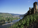 Gravenburg Castle, River Mosel, Rhineland Palatinate, Germany Photographic Print by Oliviero Olivieri