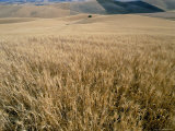 Enna, Island of Sicily, Italy, Mediterranean Photographic Print by Oliviero Olivieri