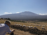 Shepherd, Mount Etna, Sicily, Italy Photographic Print by Oliviero Olivieri