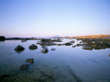 Favignana Island, Egadi Islands, Sicily, Italy, Mediterranean Photographic Print by Oliviero Olivieri