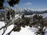 Winter Landscape of Mountains Seen Through Snow-Covered Tree Branches, High Country, Australia Photographie par Richard Nebesky