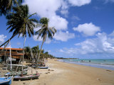 Maracajau, Natal, Rio Grande Do Norte State, Brazil, South America Photographic Print by Sergio Pitamitz