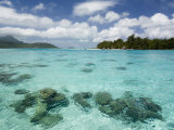 Bora-Bora, Leeward Group, Society Islands, French Polynesia Islands Photographie par Sergio Pitamitz