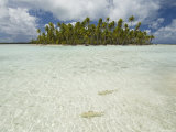 Sharks, Blue Lagoon, Rangiroa, Tuamotu Archipelago, French Polynesia Islands Photographie par Sergio Pitamitz