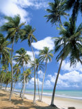 Cabo De Sao Roque, Natal, Rio Grande Do Norte State, Brazil, South America Photographic Print by Sergio Pitamitz