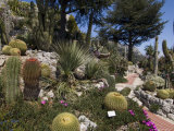 Botanic Garden (Jardin Exotique), Eze Village, Alpes Maritimes, Provence, Cote d'Azur, France Impressão fotográfica por Sergio Pitamitz