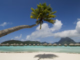 Pearl Beach Resort, Bora-Bora, Leeward Group, Society Islands, French Polynesia Photographie par Sergio Pitamitz