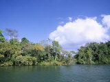 Island on Gatun Lake, Soberania Forest National Park, Panama Canal, Panama, Central America Photographic Print by Sergio Pitamitz