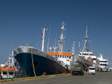 Punta Arenas, Patagonia, Chile, South America Photographic Print by Sergio Pitamitz