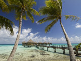 Pearl Beach Resort, Tikehau, Tuamotu Archipelago, French Polynesia Islands Photographie par Sergio Pitamitz