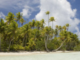 Blue Lagoon, Rangiroa, Tuamotu Archipelago, French Polynesia Islands Photographie par Sergio Pitamitz