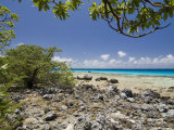 Bird Island, Tikehau, Tuamotu Archipelago, French Polynesia Islands Photographie par Sergio Pitamitz