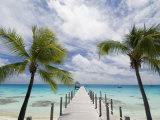 Fakarawa, Tuamotu Archipelago, French Polynesia Islands Fotografie-Druck von Sergio Pitamitz
