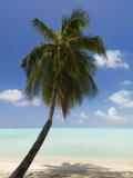 Bora-Bora, Leeward Group, Society Islands, French Polynesia Islands Photographie par Sergio Pitamitz