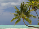 Bora-Bora, Leeward Group, Society Islands, French Polynesia Islands Photographie par Sergio Pitamitz