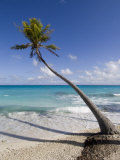 Fakarawa, Tuamotu Archipelago, French Polynesia Islands Photographie par Sergio Pitamitz