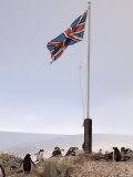 British Base, Port Lockroy, Antarctic Peninsula, Antarctica, Polar Regions Photographie par Sergio Pitamitz