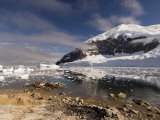 Neko Harbor, Gerlache Strait, Antarctic Peninsula, Antarctica, Polar Regions Photographic Print by Sergio Pitamitz