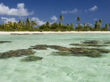 Tikehau, Tuamotu Archipelago, French Polynesia Islands Photographie par Sergio Pitamitz