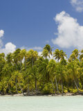 Blue Lagoon, Rangiroa, Tuamotu Archipelago, French Polynesia Islands Photographie par Sergio Pitamitz