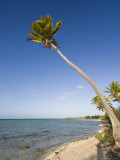 Tikehau, Tuamotu Archipelago, French Polynesia Islands Photographie par Sergio Pitamitz