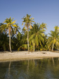 Tikehau, Tuamotu Archipelago, French Polynesia Islands Photographie par Sergio Pitamitz