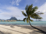 Pearl Beach Resort, Bora-Bora, Leeward Group, Society Islands, French Polynesia Photographie par Sergio Pitamitz