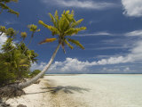 Blue Lagoon, Rangiroa, Tuamotu Archipelago, French Polynesia Islands Photographie par Sergio Pitamitz