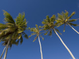Fakarawa, Tuamotu Archipelago, French Polynesia Islands Photographie par Sergio Pitamitz