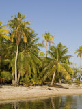 Tikehau, Tuamotu Archipelago, French Polynesia Islands Photographie par Sergio Pitamitz