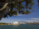Opera House and Harbour Bridge, Sydney, New South Wales, Australia Fotografie-Druck von Sergio Pitamitz