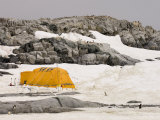 Scientists Camp, Petermann Island, Lemaire Channel, Antarctic Peninsula, Antarctica, Polar Regions Lámina fotográfica por Sergio Pitamitz