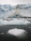 Garibaldi Glacier, Darwin National Park, Tierra Del Fuego, Patagonia, Chile, South America Photographic Print by Sergio Pitamitz