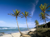 Praia Do Amor, Pipa (Natal), Rio Grande Do Norte State, Brazil, South America Photographic Print by Sergio Pitamitz