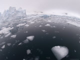 Paradise Bay, Antarctic Peninsula, Antarctica, Polar Regions Photographic Print by Sergio Pitamitz
