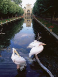 Wilhelma Zoo and Botanical Gardens, Stuttgart, Baden Wurttemberg, Germany Photographic Print by Yadid Levy